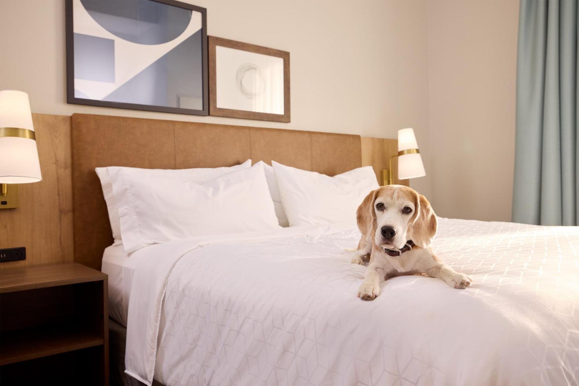 Staybridge Suites Tucson Airport By Ihg Exterior photo